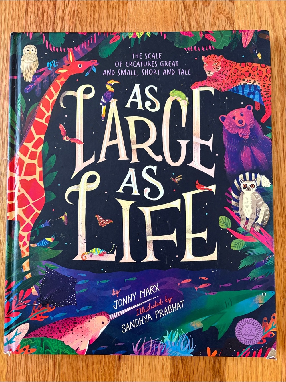 As Large As Life Oversized Hardcover Animal Picture Book Vibrant Art 13x10.5